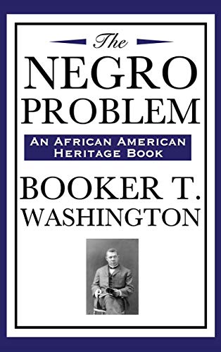 The Negro Problem (an African American Heritage Book) (Precinct, Band 3)