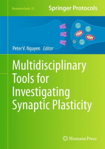 Multidisciplinary Tools for Investigating Synaptic Plasticity (Neuromethods)