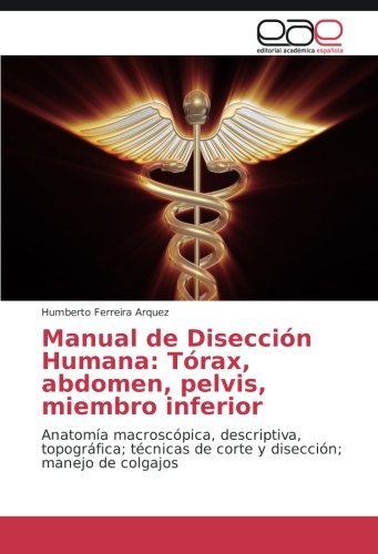 Manual de Disección Humana: Tórax, abdomen, pelvis, miembro inferior: Anatomía macroscópica, descriptiva, topográfica; técnicas de corte y disección; manejo de colgajos