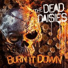 Burn It Down (CD Digi + Bonustrack + Poster)