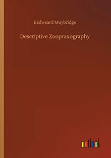 Descriptive Zoopraxography