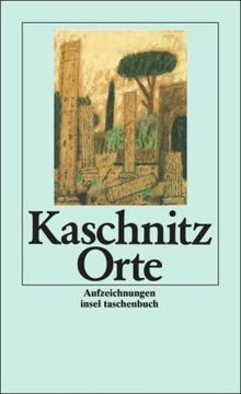 Orte: Aufzeichnungen (insel taschenbuch)