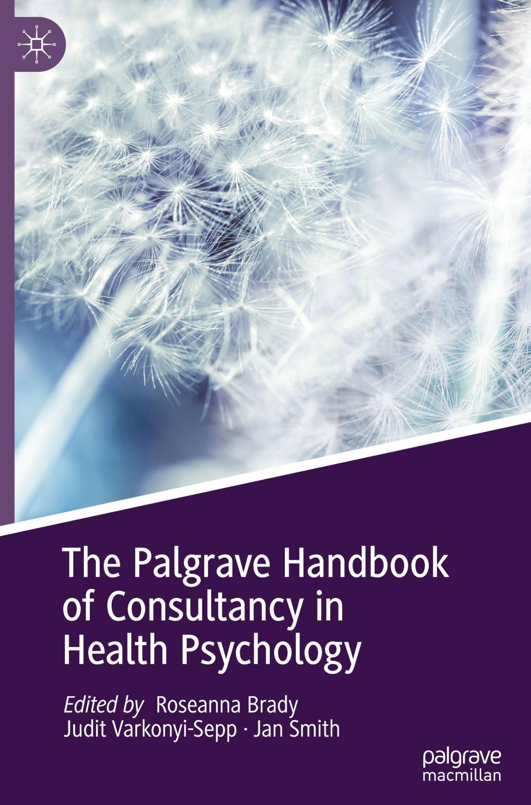 The Palgrave Handbook of Consultancy in Health Psychology