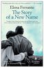 The Story of a New Name: Neapolitan Novels, Book Two