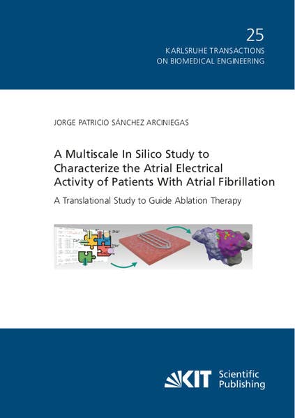 A Multiscale In Silico Study to Characterize the Atrial Electrical Activity of Patients With Atrial Fibrillation : A Translational Study to Guide ... / Institute of Biomedical Engineering)