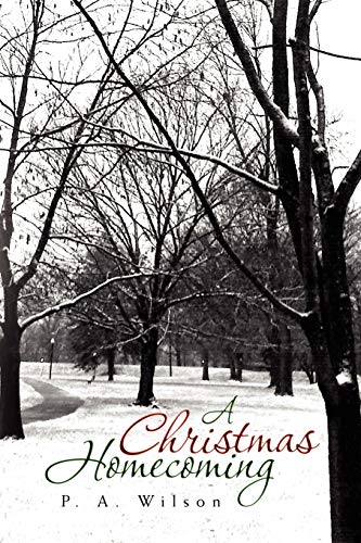 A Christmas Homecoming