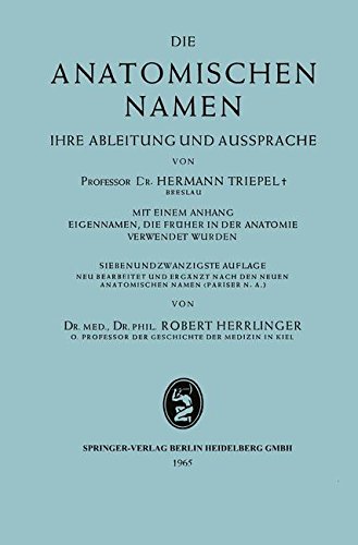 Die anatomischen Namen