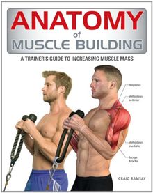 Anatomy of Muscle Building: A Trainer's Guide to Increasing Muscle Mass