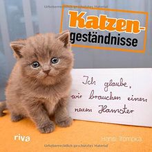 Katzengeständnisse: Ich glaube, wir brauchen einen neuen Hamster