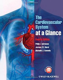 The Cardiovascular System at a Glance