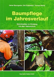 Baumpflege im Jahresverlauf: Schnittzeiten im Einklang mit der Naturschutz
