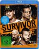 Survivor Series 2013 [Blu-ray]