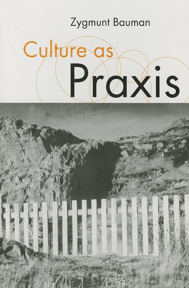 Culture as Praxis (Theory, Culture & Society)