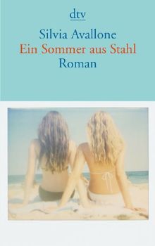 Ein Sommer aus Stahl: Roman