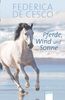 Pferde, Wind und Sonne