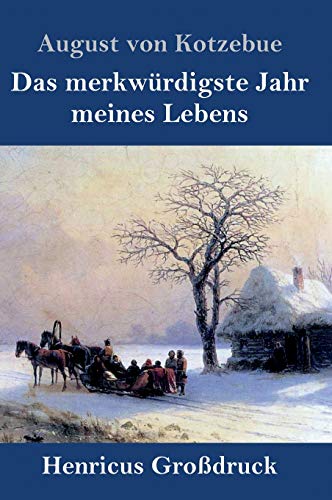 Das merkwürdigste Jahr meines Lebens (Großdruck)