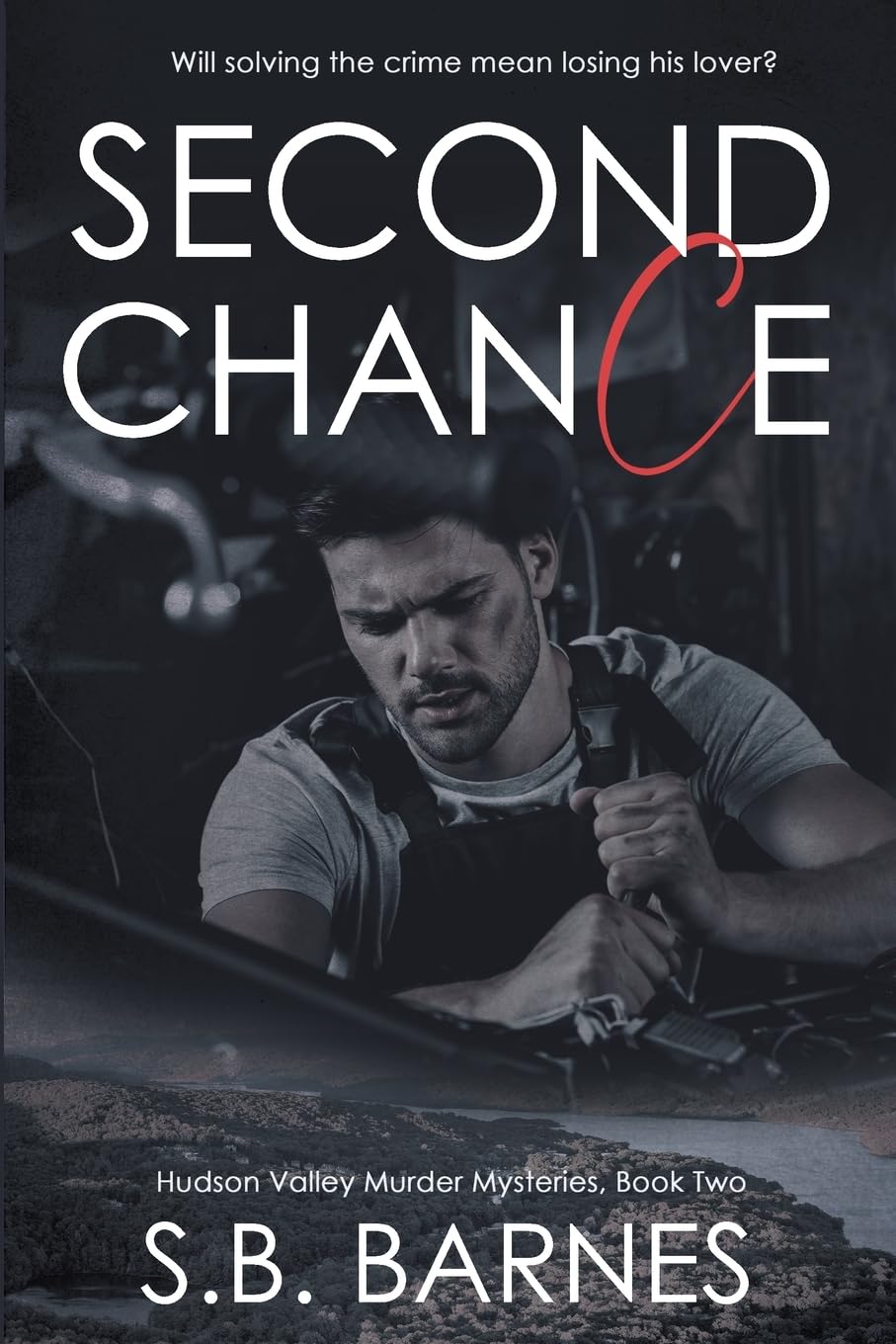Second Chance (Hudson Valley Murder Mysteries, Band 2)