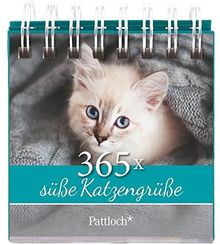 365x süße Katzengrüße: immerwährender Aufstellkalender
