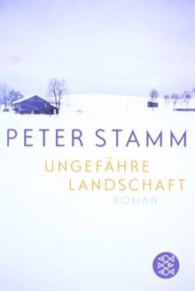 Ungefähre Landschaft: Roman