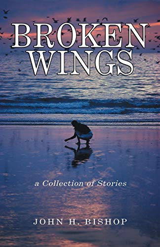 Broken Wings: A Collection of Stories