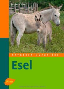 Esel - von Marisa Hafner | Buch | Zustand akzeptabel