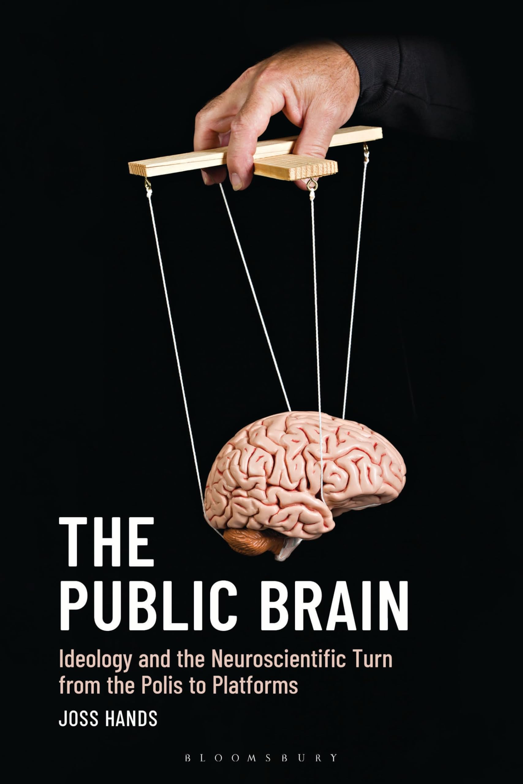 The Public Brain: Ideology and the Neuroscientific Turn from the Polis to Platforms