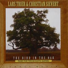 Bird in the Oak (Gitarre)