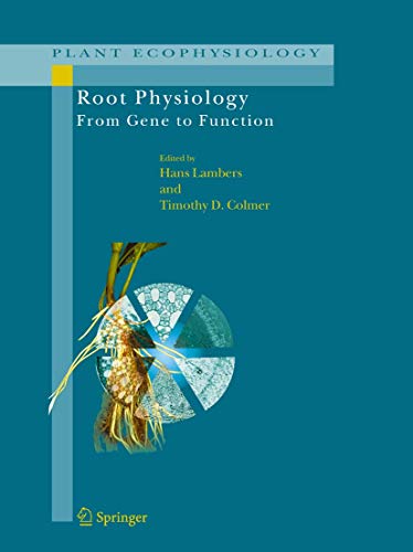Root Physiology: from Gene to Function (Plant Ecophysiology, 4, Band 4)