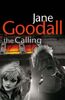 The Calling (Briony Williams 3)