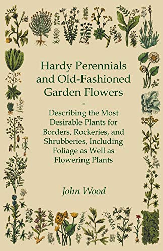 Hardy Perennials and Old-Fashioned Garden Flowers;Describing the Most Desirable Plants for Borders, Rockeries, and Shrubberies, Including Foliage as Well as Flowering Plants