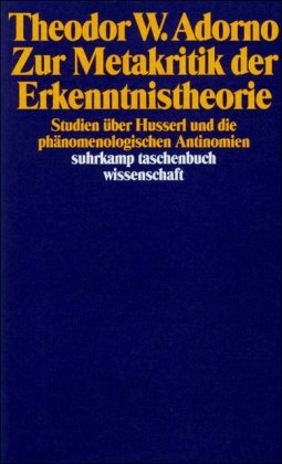 Zur Metakritik der Erkenntnistheorie: Studien über Husserl und die phänomenologischen Antinomien (suhrkamp taschenbuch wissenschaft)
