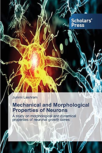 Mechanical and Morphological Properties of Neurons: A study on morphological and dynamical properties of neuronal growth cones