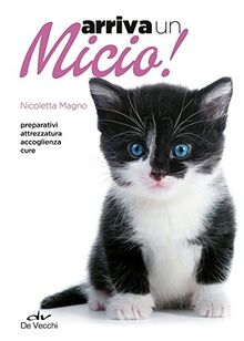 Arriva un micio! (Animali)