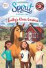 Spirit Riding Free: Lucky's Class Contest (Passport to Reading Level 2)
