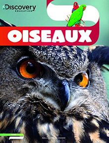 Oiseaux