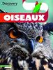 Discovery Education: Oiseaux