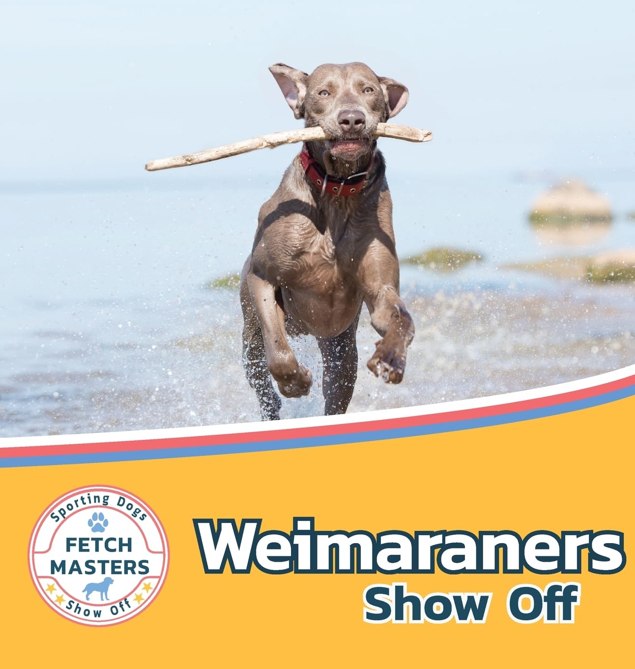 Weimaraners Show Off (Fetch Masters: Sporting Dogs Show Off, Band 4)