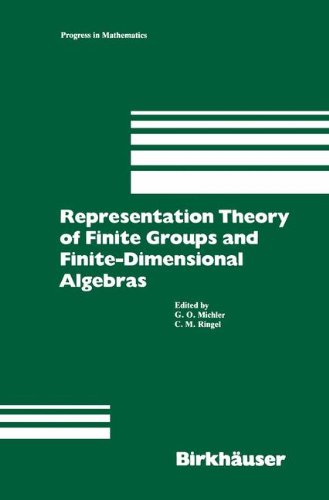 Representation Theory of Finite Groups and Finite-Dimensional Algebras: Proceedings of the Conference at the University of Bielefeld from May 15–17, ... Theory (Progress in Mathematics, Band 95)