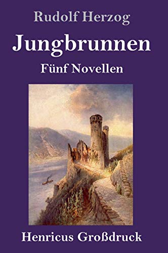 Jungbrunnen (Großdruck): Fünf Novellen