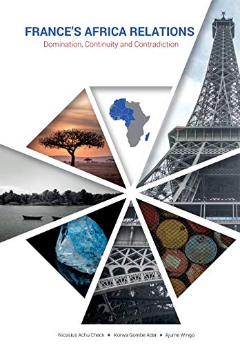 France's Africa Relations: Domination, Continuity and Contradiction