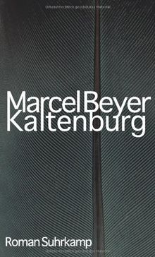 Kaltenburg: Roman