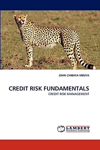 CREDIT RISK FUNDAMENTALS: CREDIT RISK MANAGEMENT