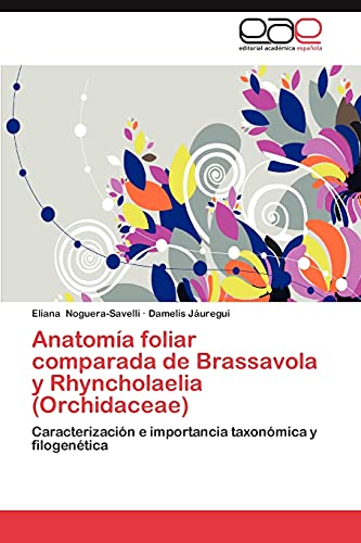 Anatomía foliar comparada de Brassavola y Rhyncholaelia (Orchidaceae): Caracterización e importancia taxonómica y filogenética