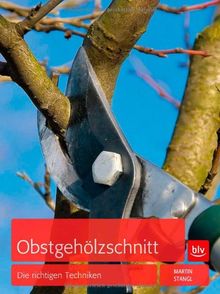 Obstgehölzschnitt: Die richtigen Techniken