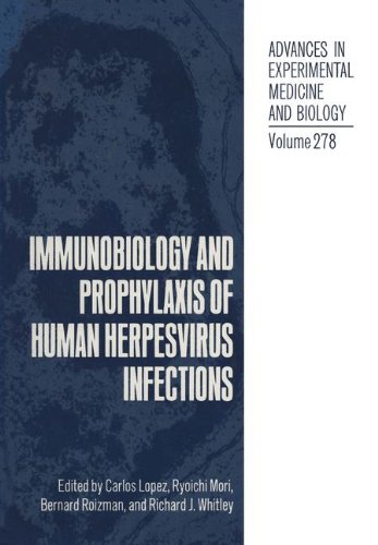 Immunobiology and Prophylaxis of Human Herpesvirus Infections (Advances in Experimental Medicine and Biology, Band 278)