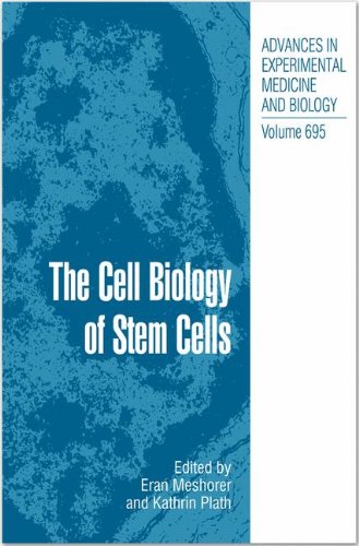The Cell Biology of Stem Cells (Advances in Experimental Medicine and Biology)