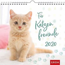 Für Katzenfreunde 2020: Dekorativer Wandkalender mit Monatskalendarium