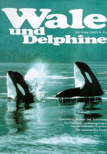 Wale und Delphine. Entwicklung, Biologie und Verbreitung. Ein Überblick