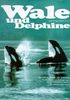 Wale und Delphine. Entwicklung, Biologie und Verbreitung. Ein Überblick