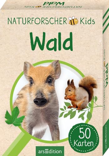 Naturforscher-Kids – Wald: 50 Karten | Heimische Arten erkennen und bestimmen